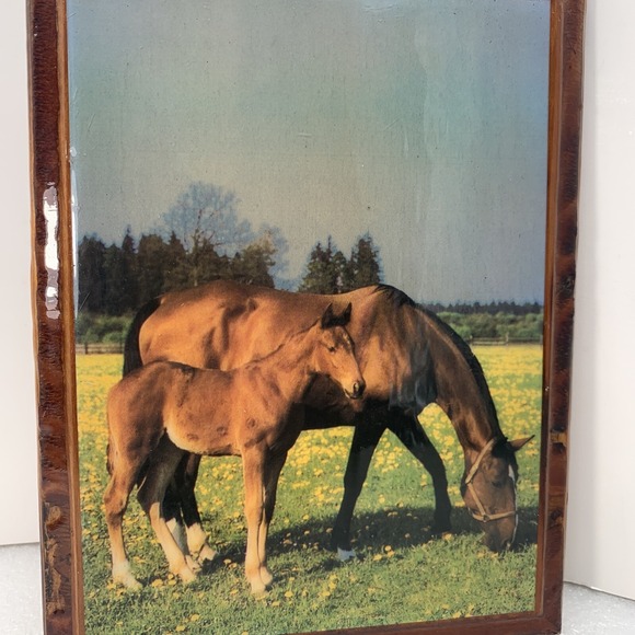 Rustic Wood‎ Framed Horse & Foal Pasture Wall Art 6.5x8.5" Vintage Decor - Picture 2 of 4